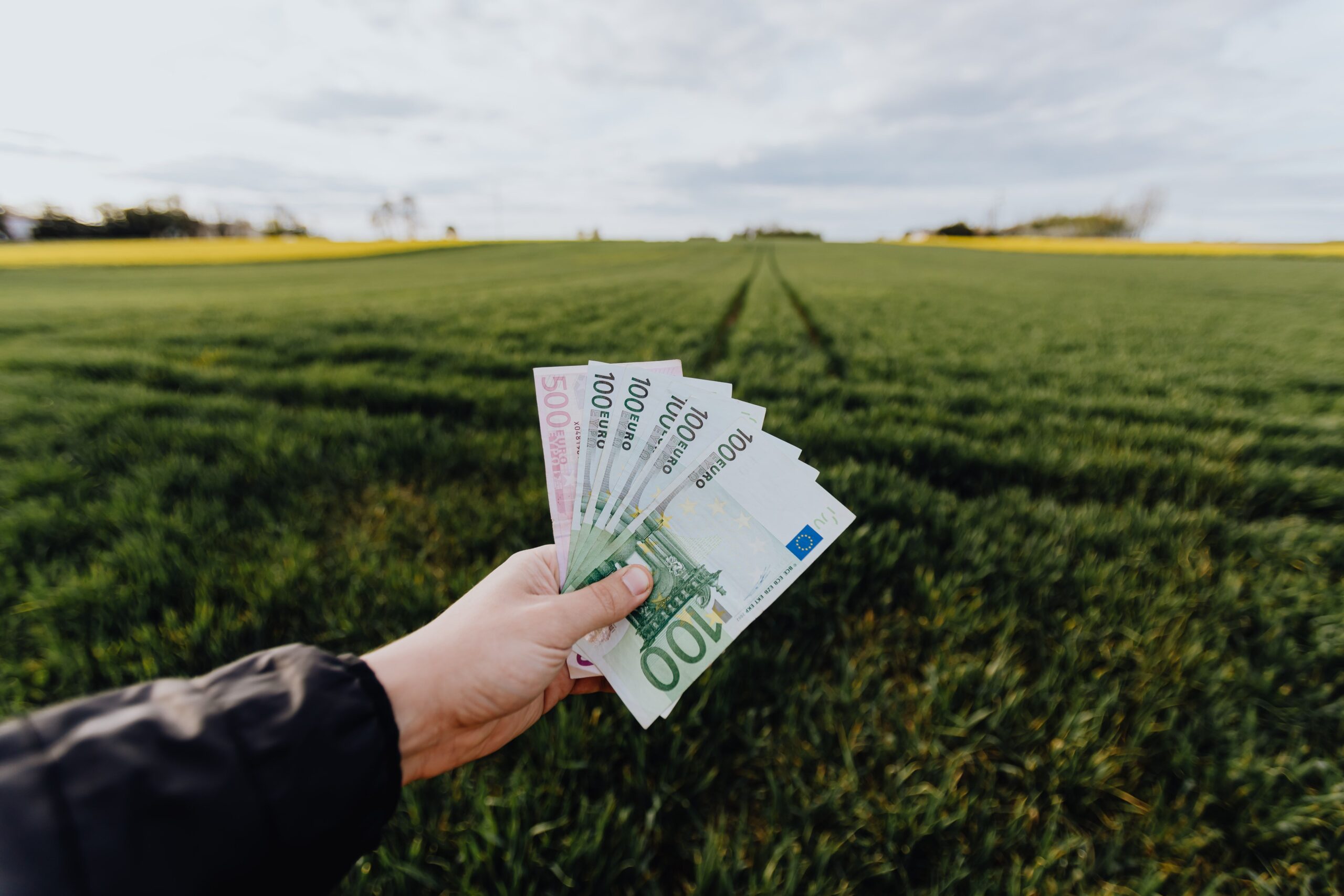 Crop unrecognizable farmer with one hundred and five hundred euro banknotes in hand in large green rural field on summer day